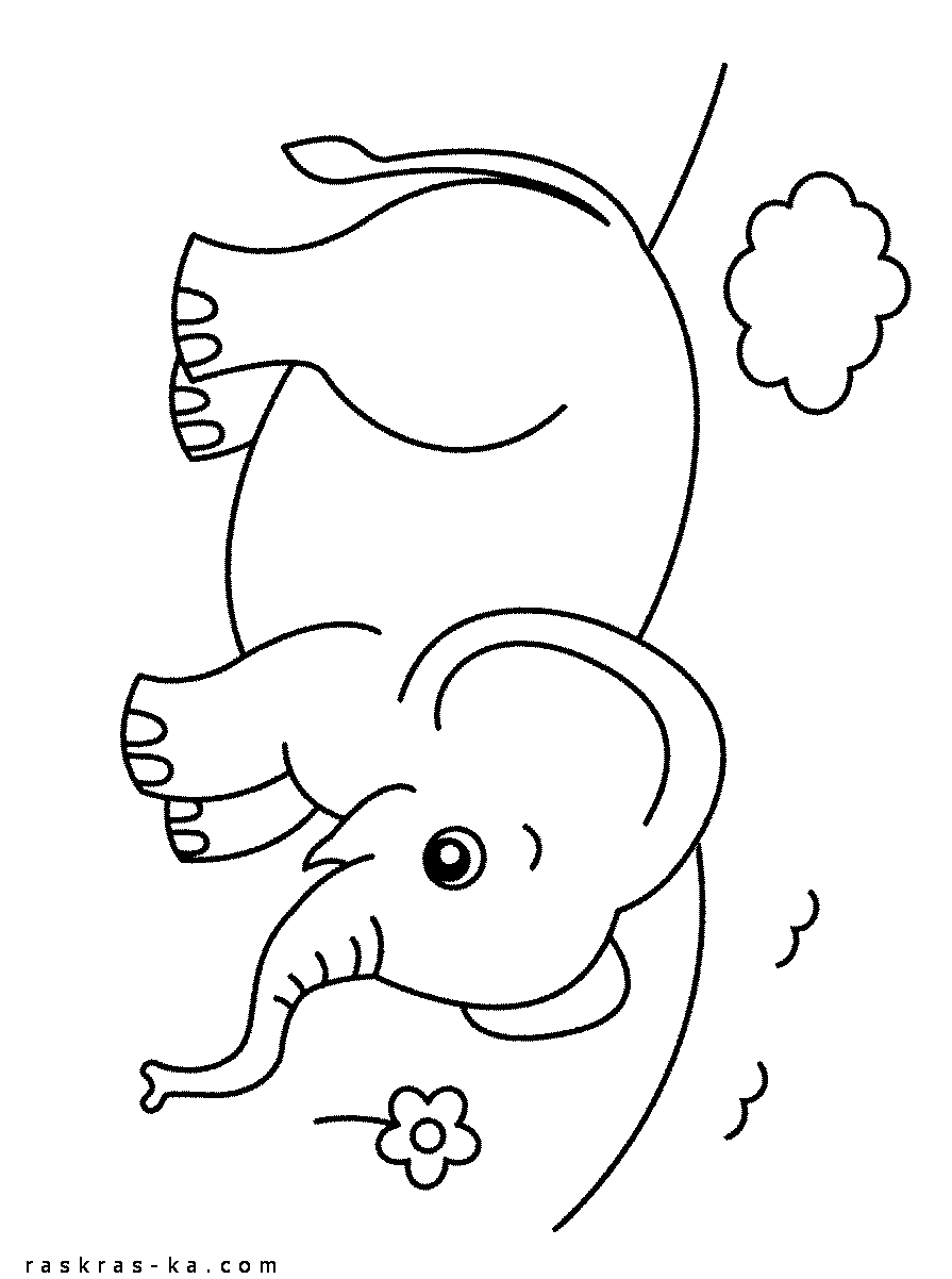 Индийские и африканские слоны это животные с длинным хоботом