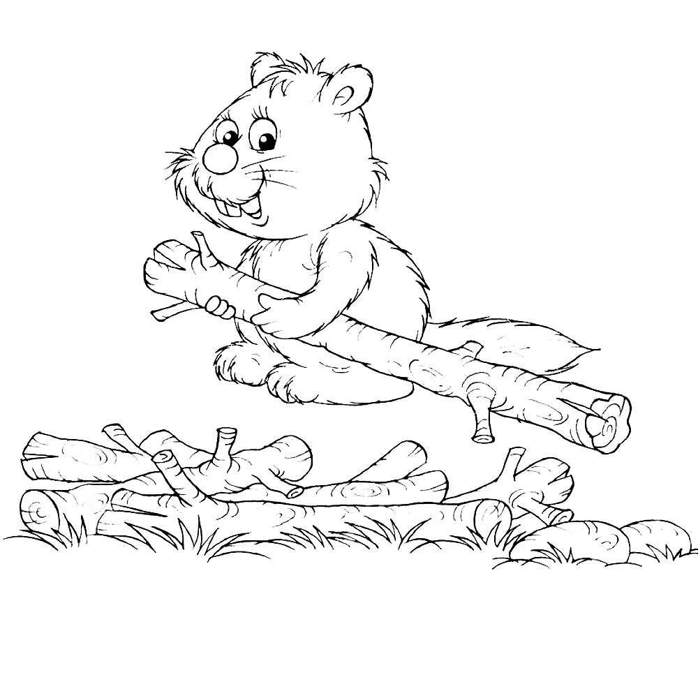 Животное бобер. Бобры могут строить платины и грызть деревья