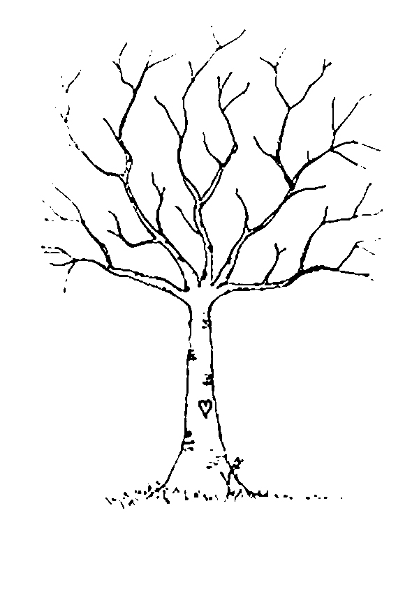 Контуры шаблоны деревьев для вырезания скачать бесплатно онлайн и распечатать