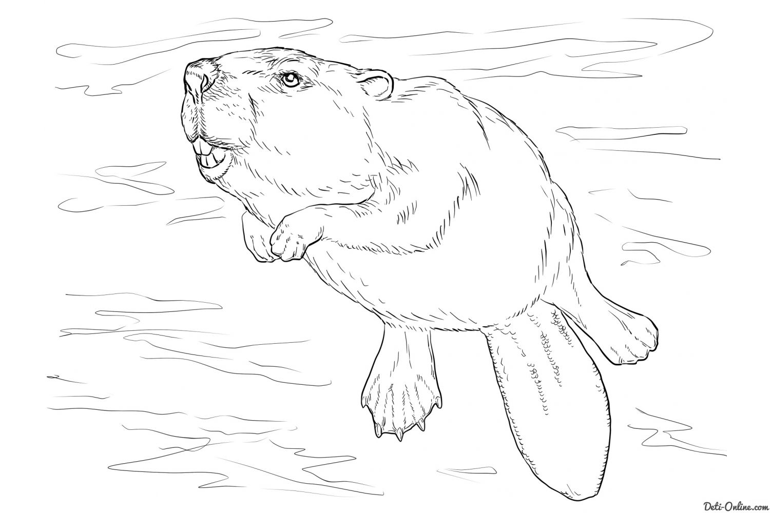 Животное бобер. Бобры могут строить платины и грызть деревья