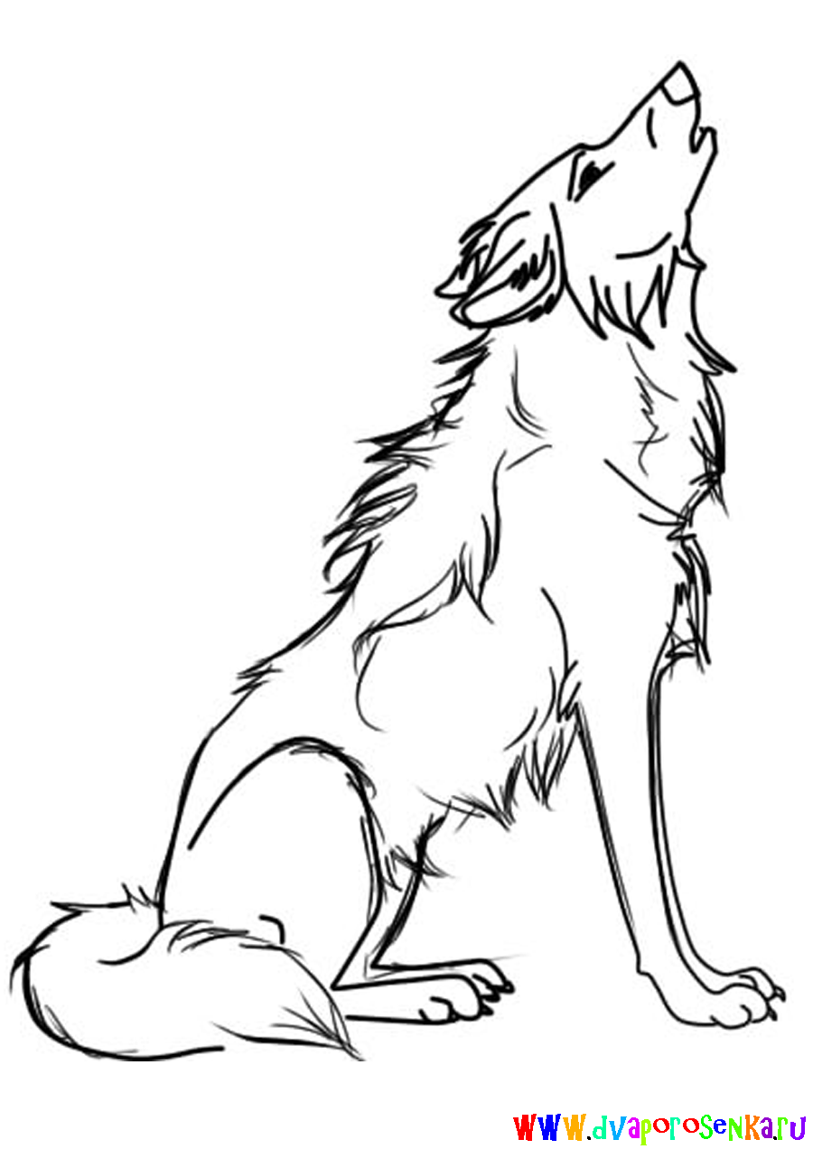 Раскраски с  волком из мультфильма и сказки. Серый волк