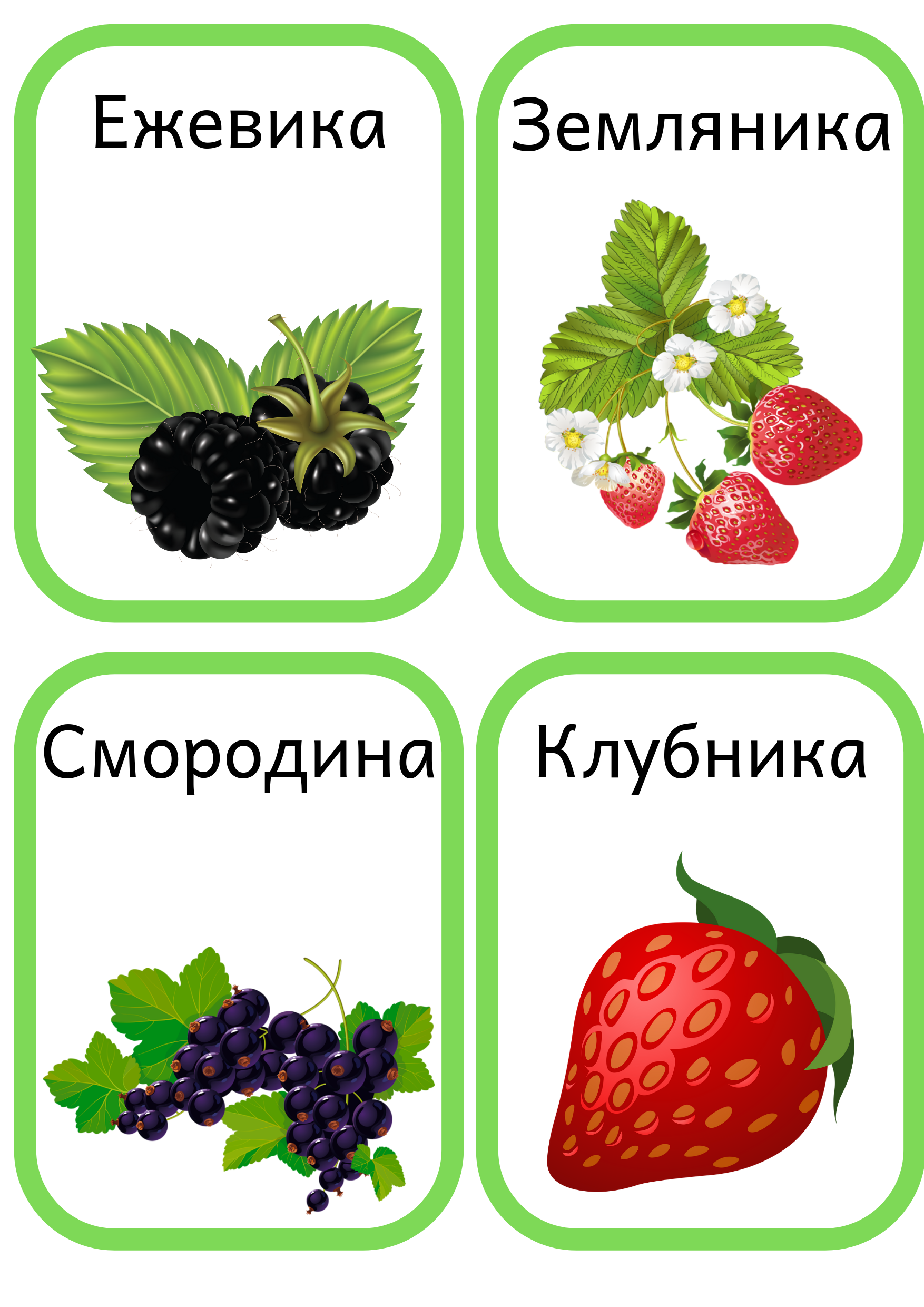 Садовые ягоды картинки для детей с названиями