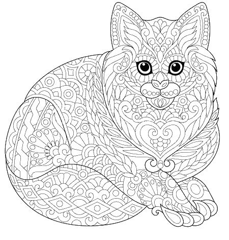 Кошка сложная антистресс