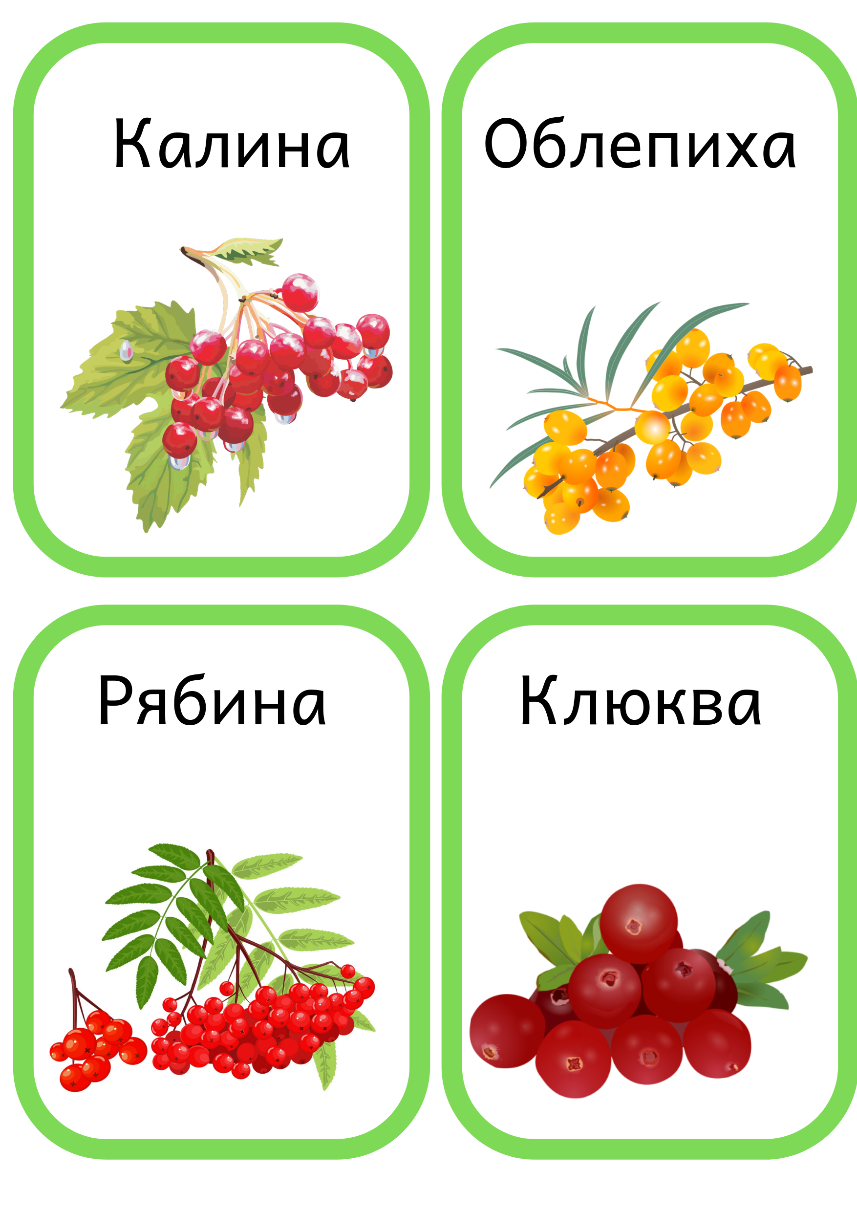 Карточки с ягодами и фруктами для раннего развития. Уроки природоведения для ...