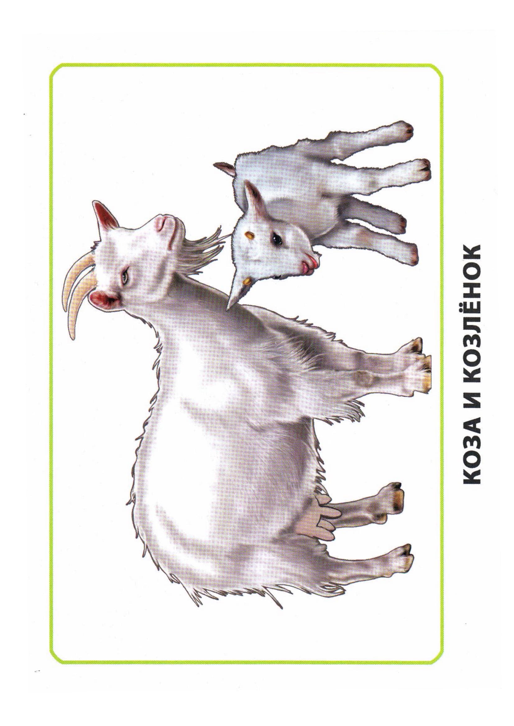 Карточки по окружающему миру. Мамы и дети. Раннее развитие детей.