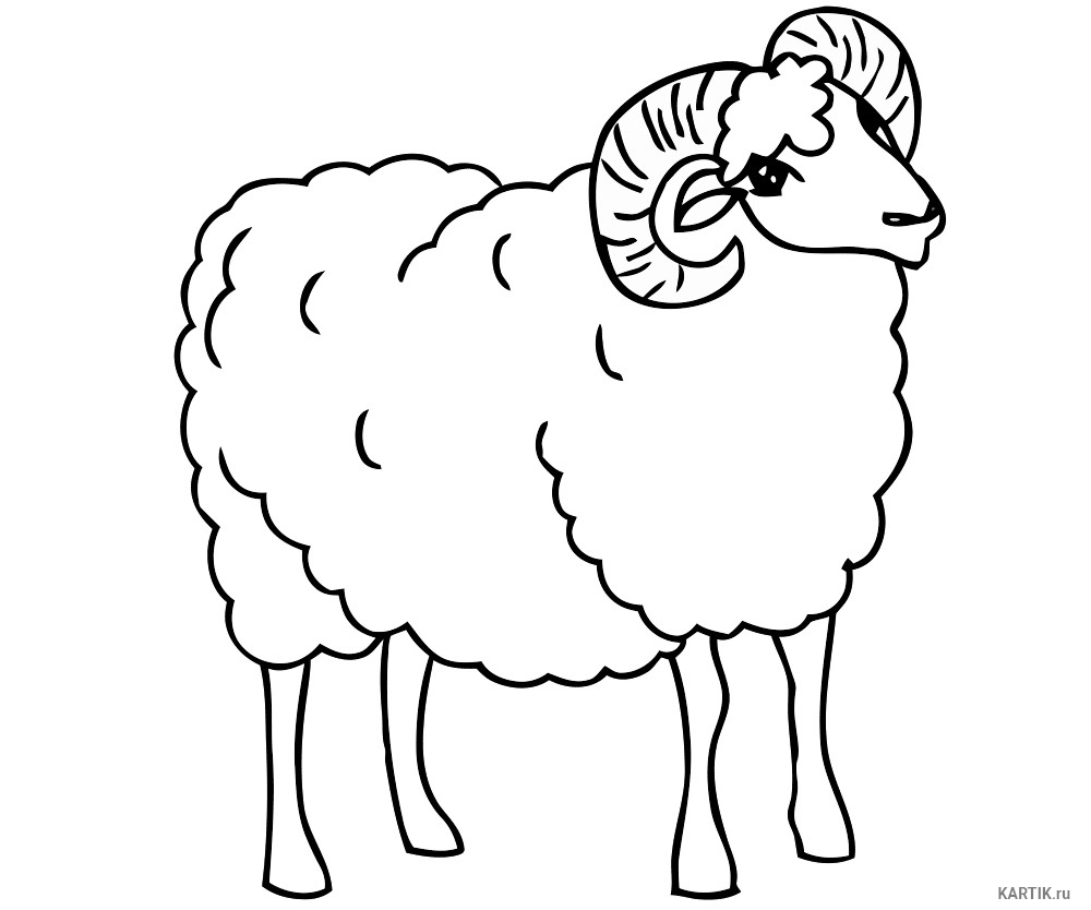 Баран. Раскраски с барашками