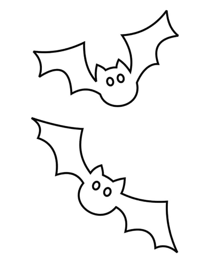 Летучая мышь которая летает или висит вверх ногами