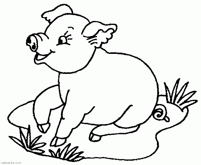 Свинья с поросятами  и просто раскраски хрюшек и кабанов