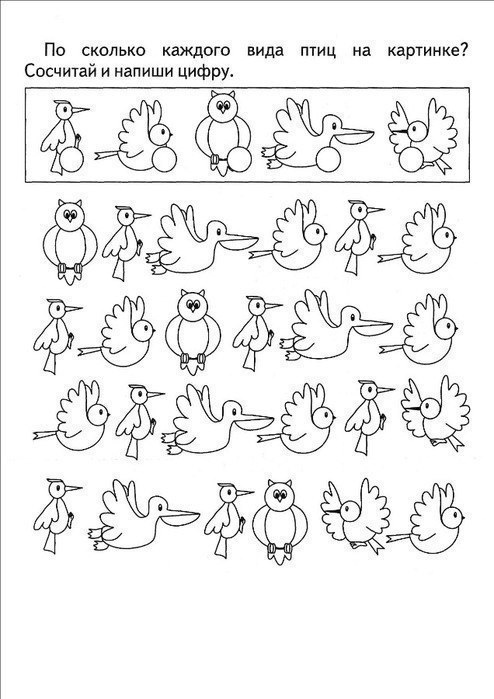 Задания в которых нужно выполнить задания с цифрами.