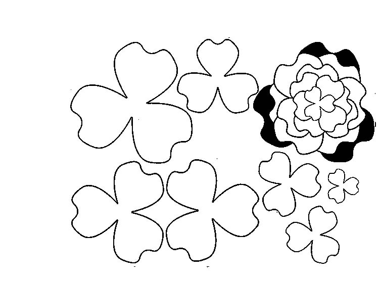 Контуры цветов для вырезания скрапбукинга поделок и аппликаций скачать беспла...