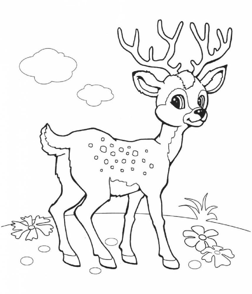 Животные леса, олень