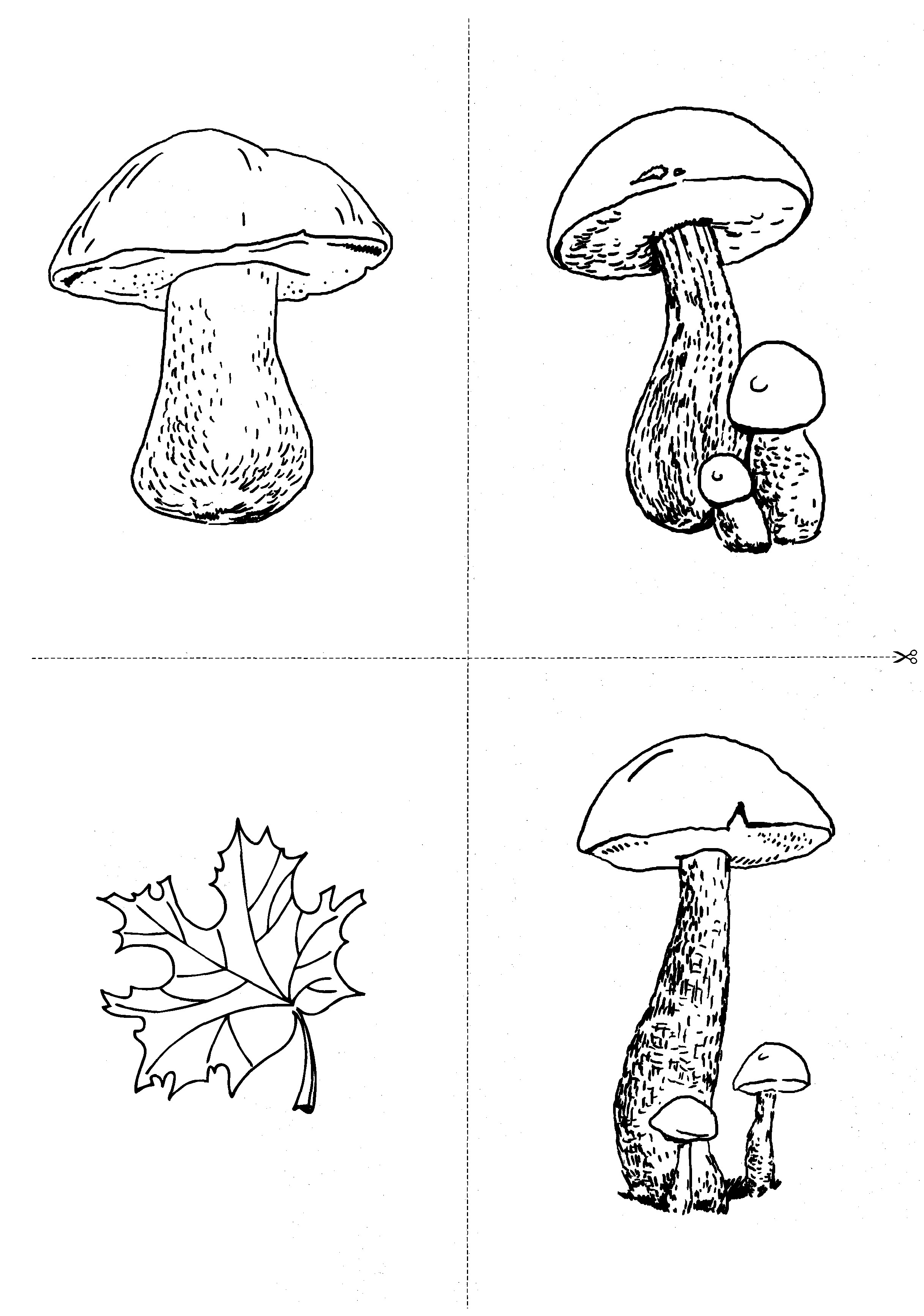 Карточки с деревьями кустарниками листьями и грибами