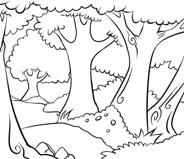 Знакомство с окружающим миром. Раскраски с лесом для детей.