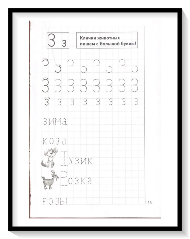 Мои печатные прописи для детей 4-5-6 лет