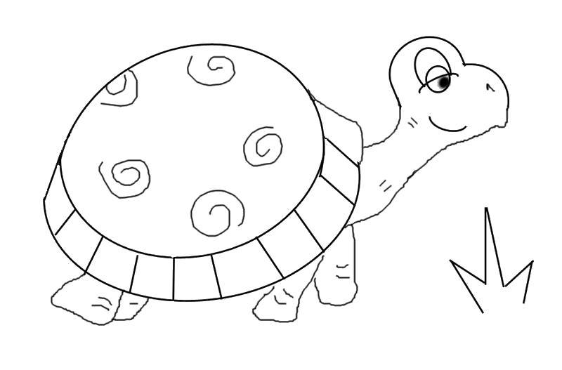 Черепахи морские и черепахи степные