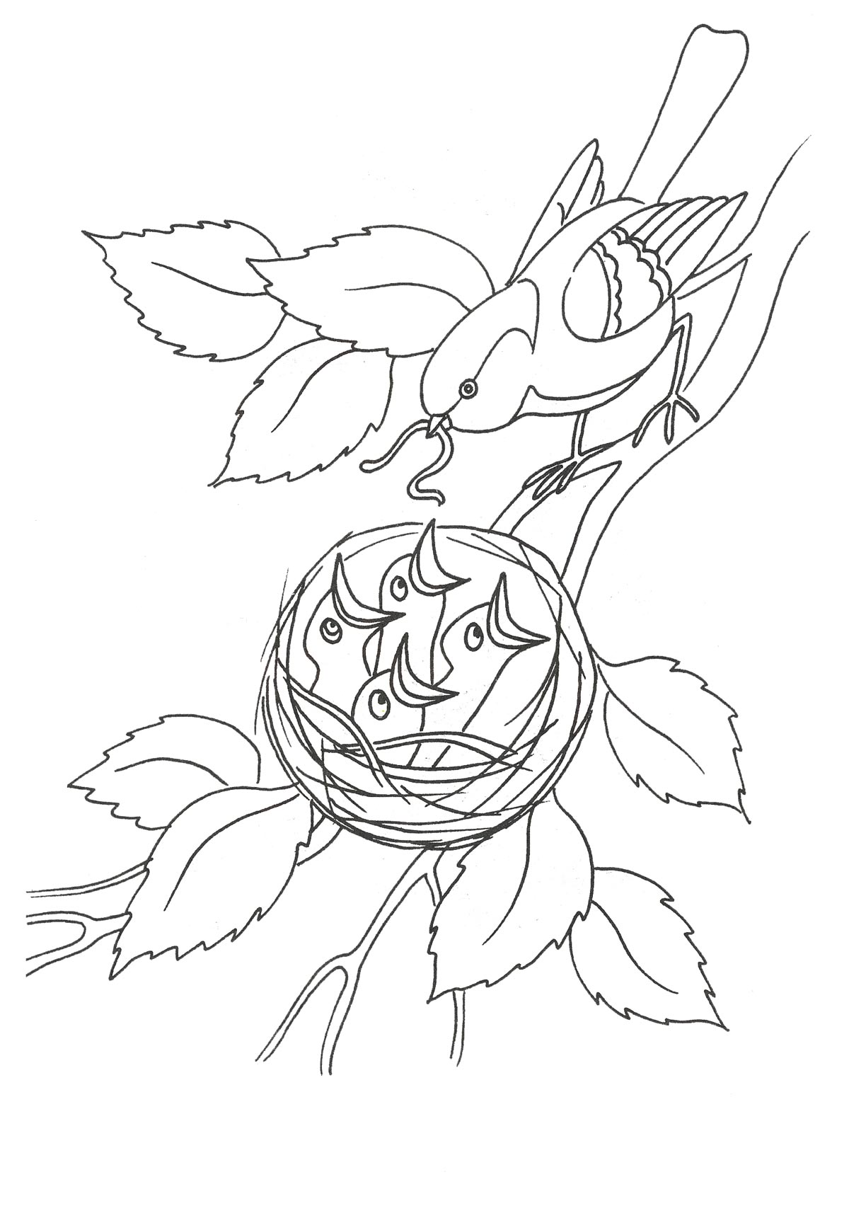 Мама прица кормит птенцов в гнезде