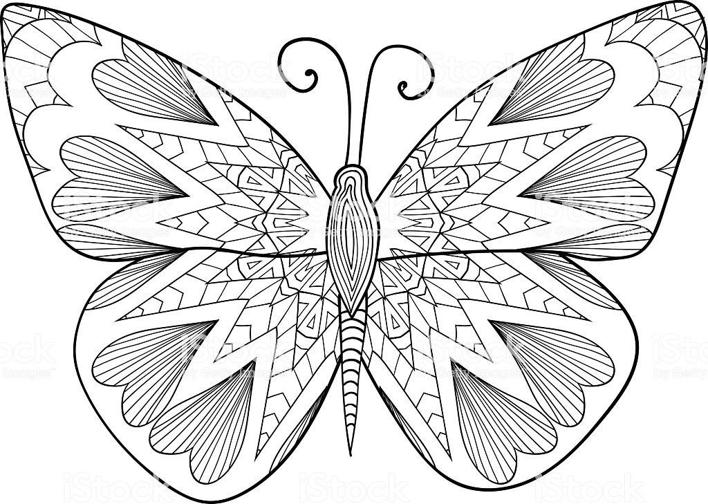 Контуры, трафареты, шаблоны бабочек для вырезания аппликаций  и поделок