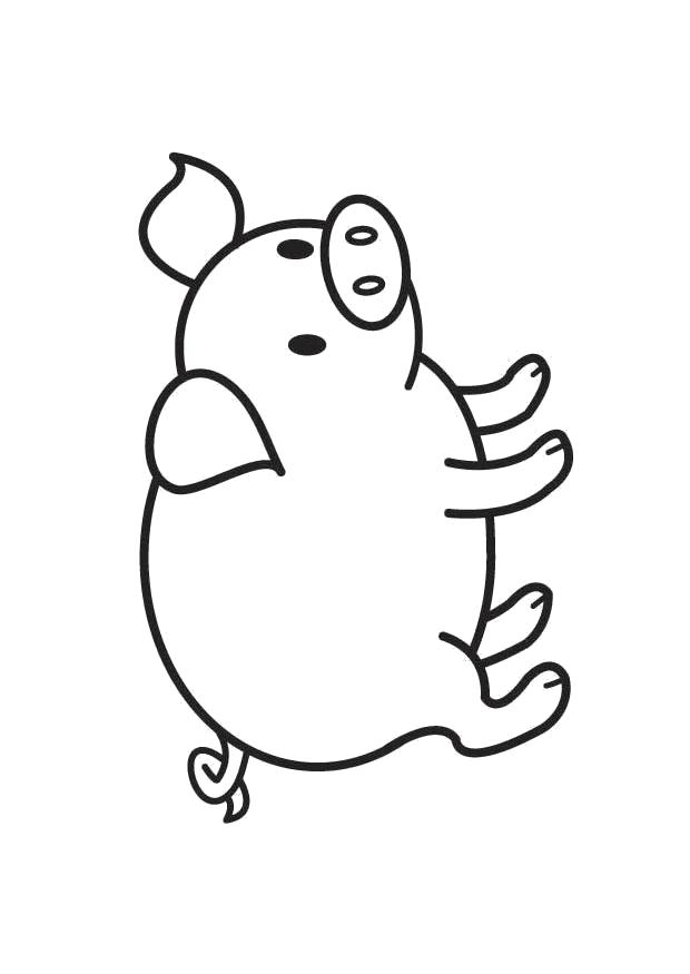 Свинья с поросятами  и просто раскраски хрюшек и кабанов