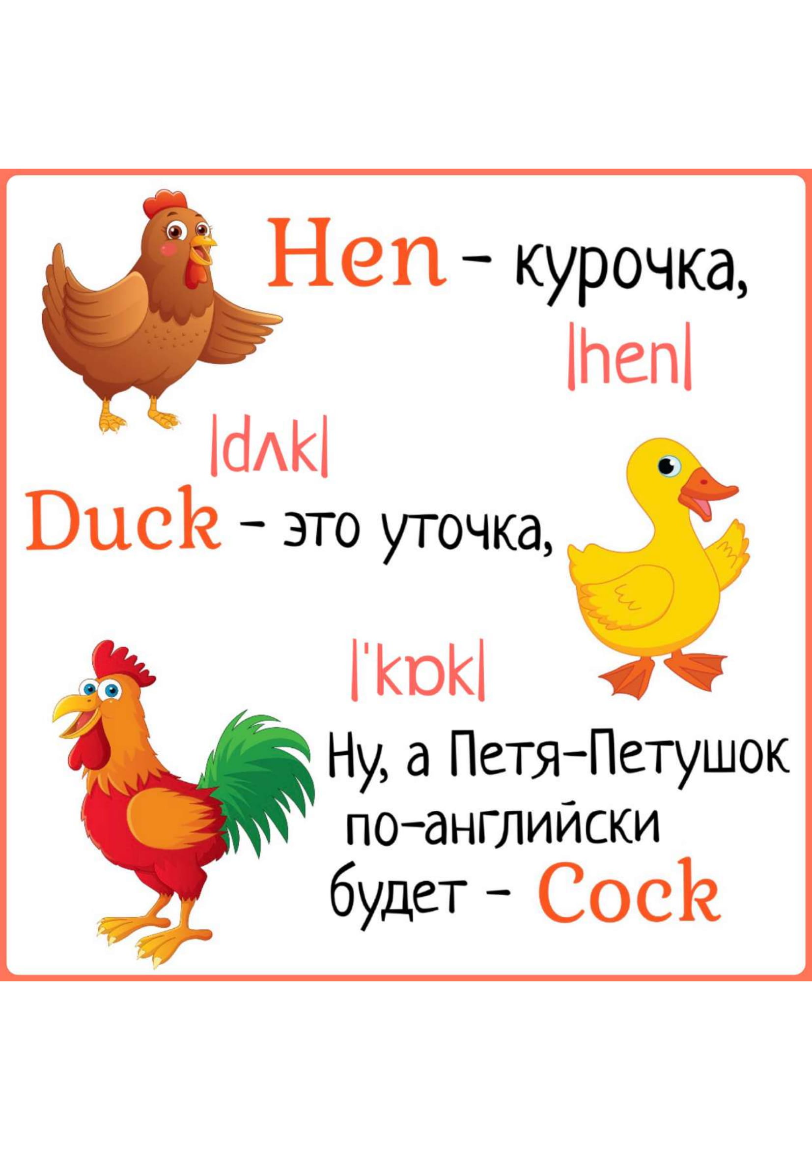 Карточки с картинками и английскими словами