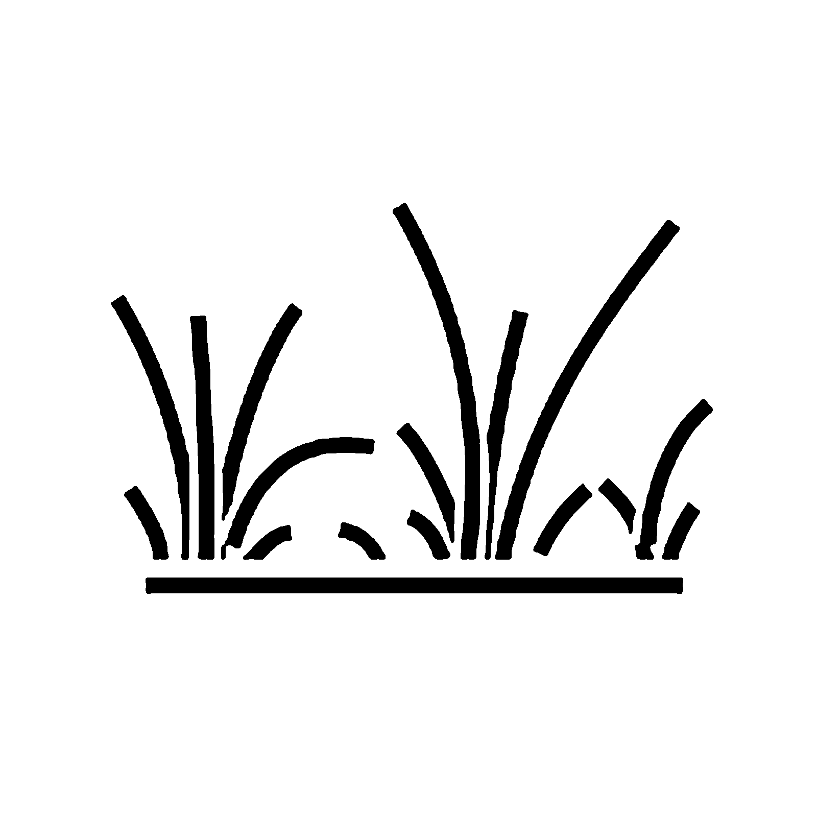 Раскраски травы для изучения природы с детьми