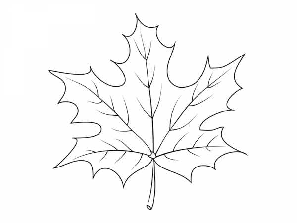 Шаблоны и трафареты листьев для поделок на осеннюю тему