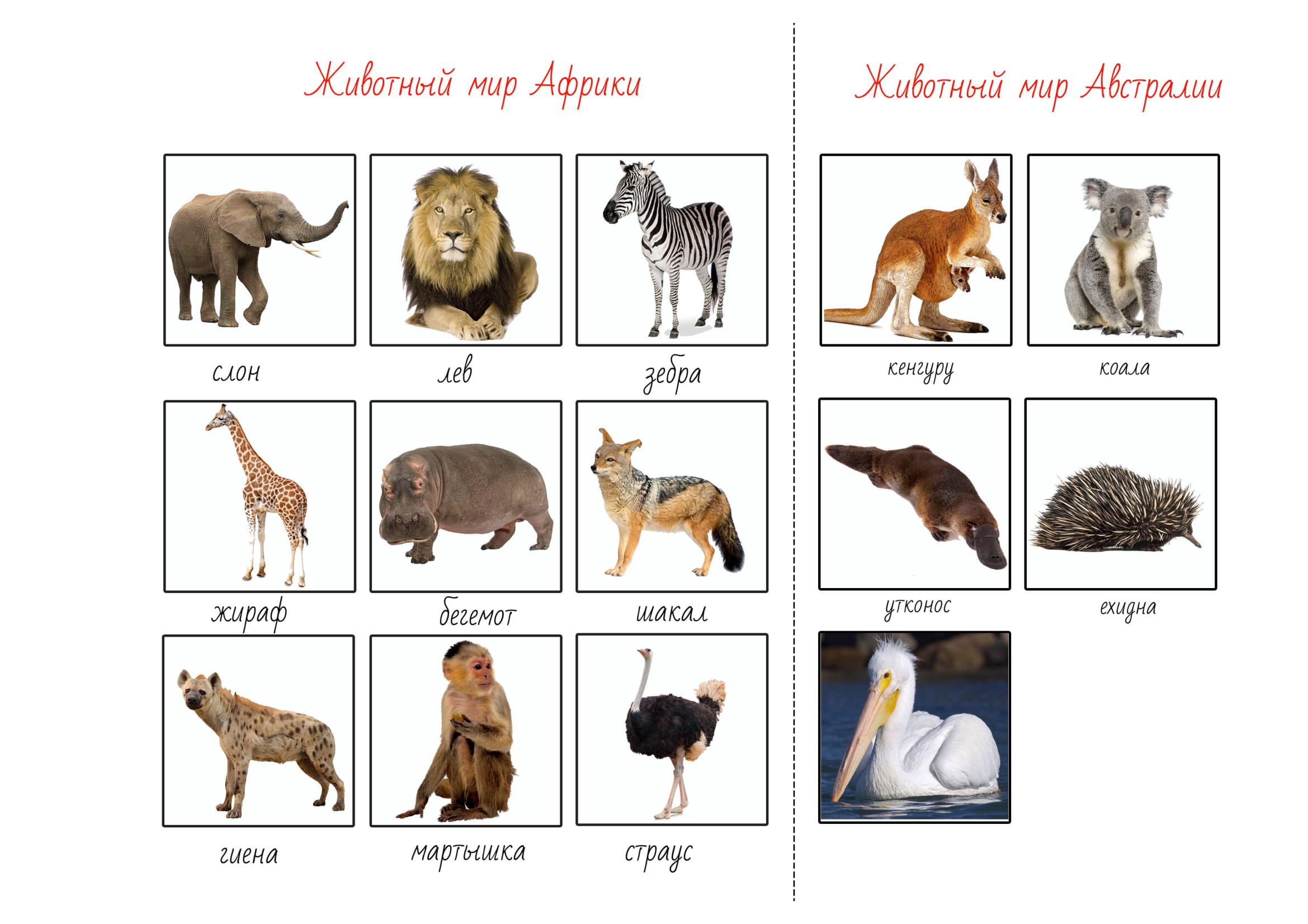 A Wonderful World Atlas With Animals World Map Fabric Panel Free US Shipping. $1
