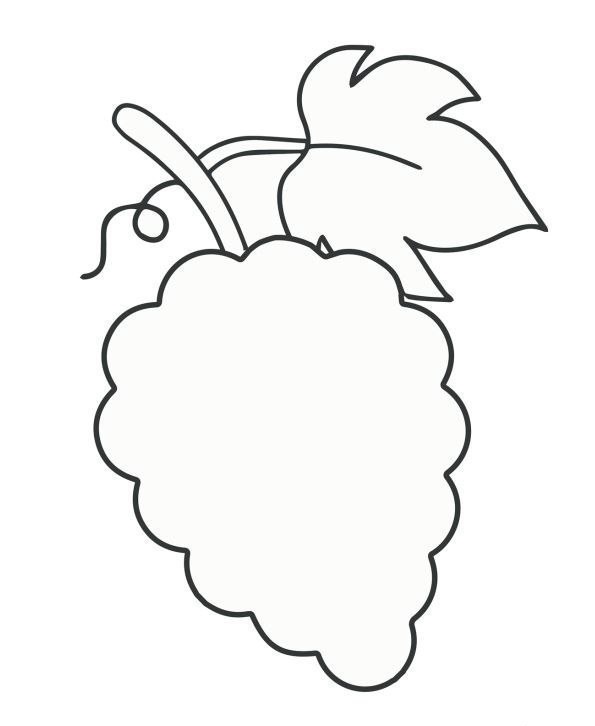 Аппликация из полосок цветной бумаги. Гроздь винограда