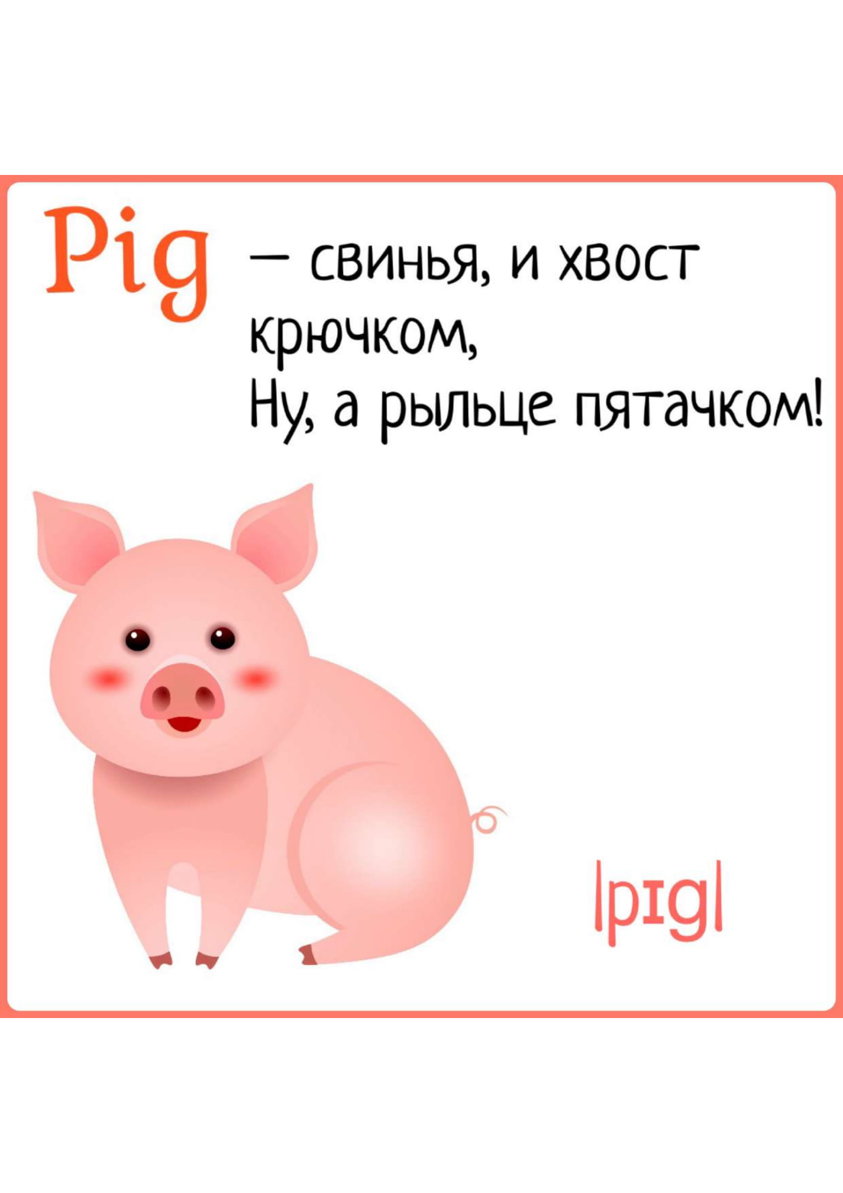 Карточки с картинками и английскими словами