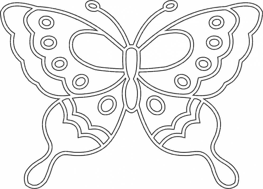 контуры бабочек для вырезания