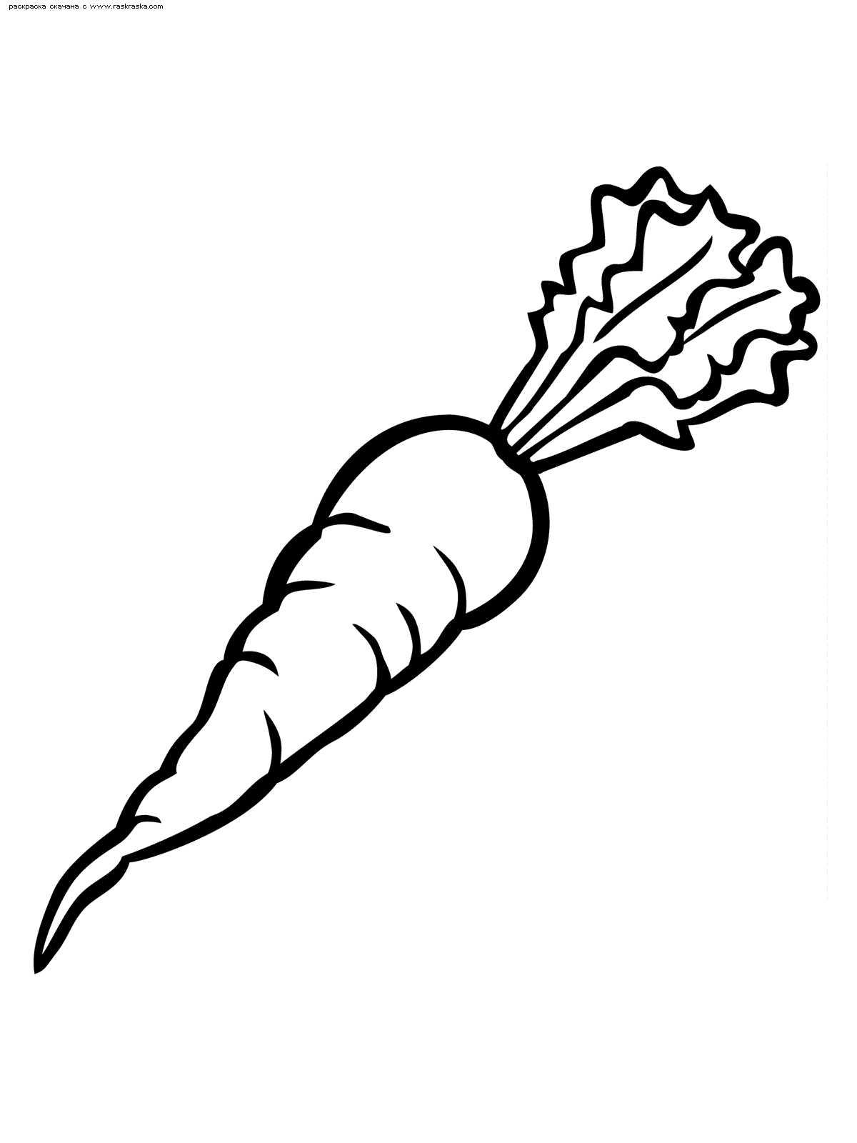 Раскраски с овощами для детей скачать бесплатно