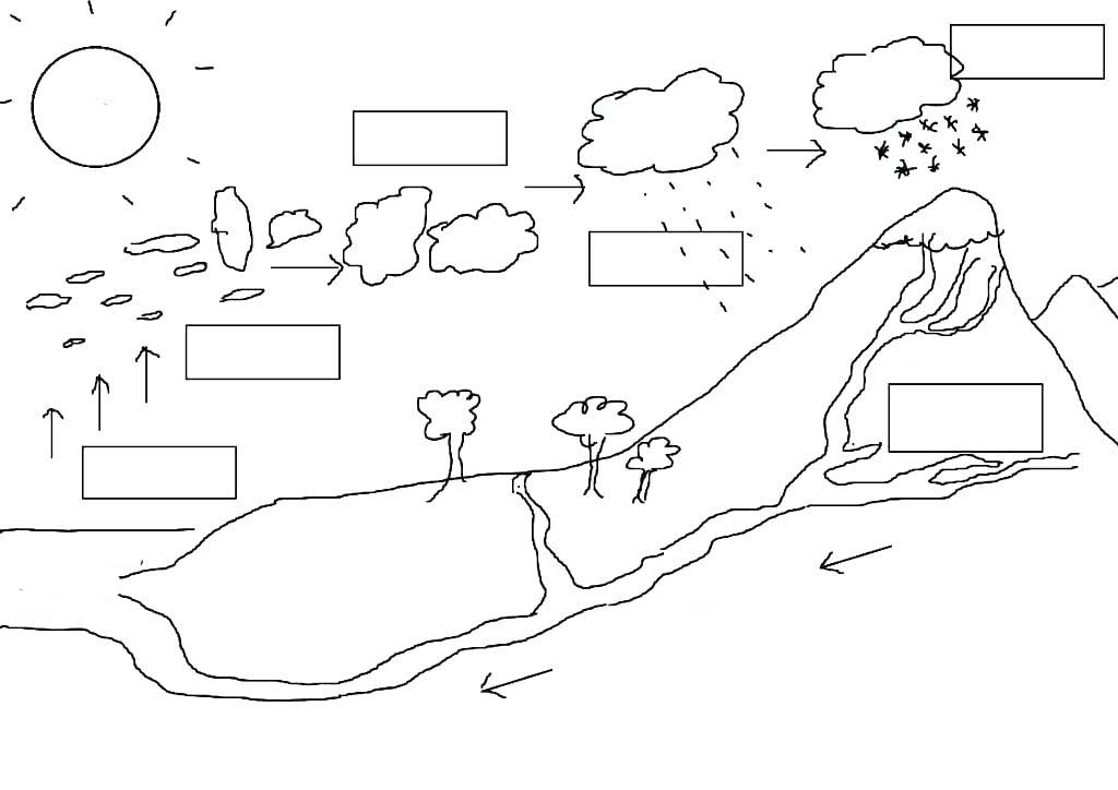 Раскраски со схемами круговорота воды в природе для занятий по раннему развит...