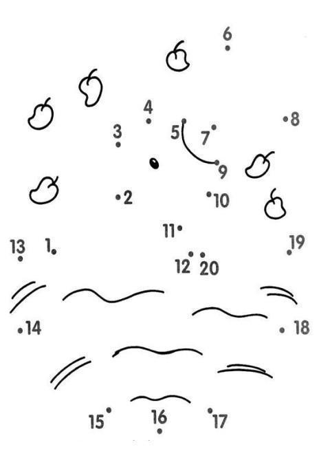 Соедини по порядку. Увлекательное изучение цифр с детьми