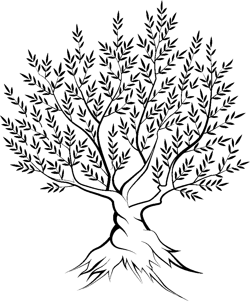 Контуры шаблоны деревьев для вырезания скачать бесплатно онлайн и распечатать