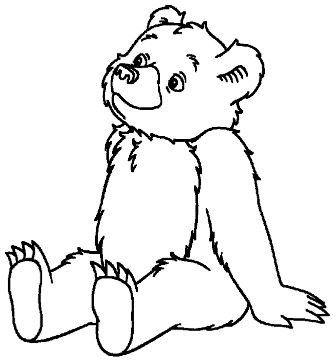 Раскраски с медведями и медвежатами