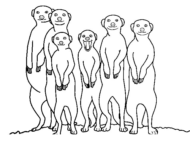 Сурикаты стоят на задних лапках