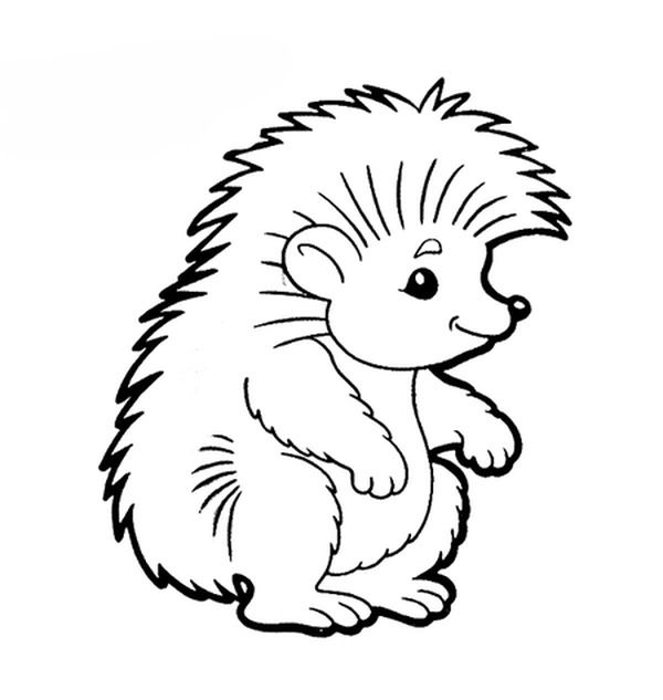Раскраски с ежами у которых на спине яблоки грибы и листья