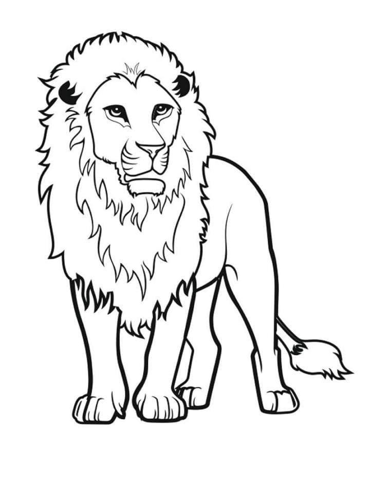 Раскраски для мальчиков. Африканские животные. Лев король зверей