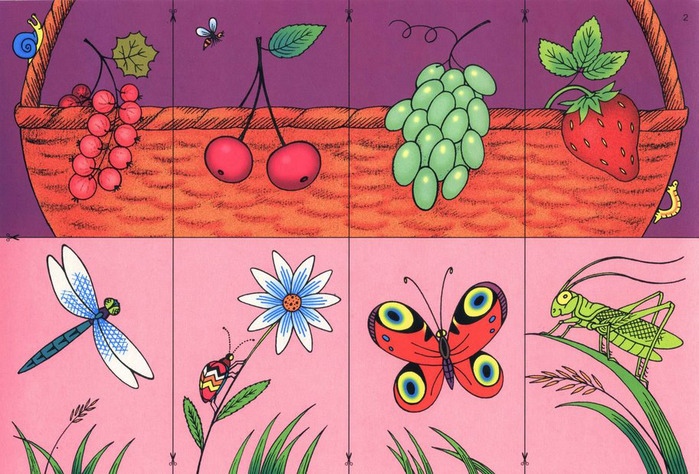 Игра Наведи порядок Игра учащая дошкольников находить сходства и различия меж...