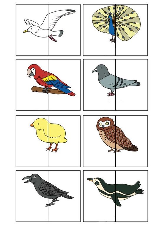 Карточки которые нужно разрезать и дать детям чтобы они нашли пару