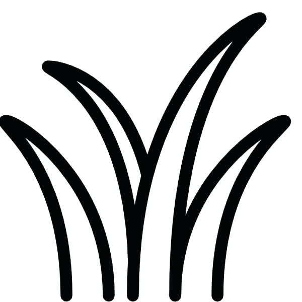 Раскраски травы для изучения природы с детьми