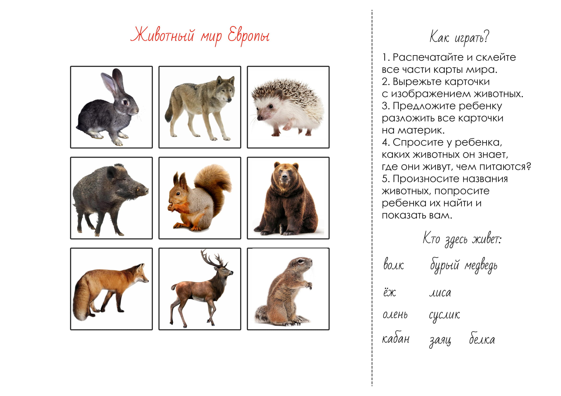 Животные материков