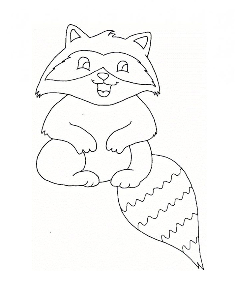 Животное енот