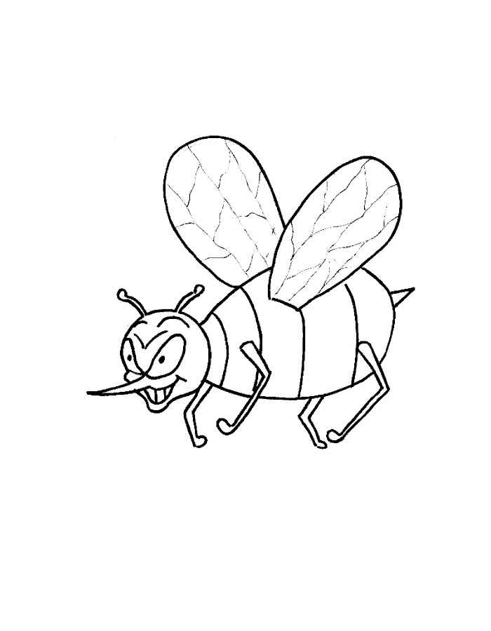 Раскраски с насекомыми. Изучаем с ребенком окружающий мир