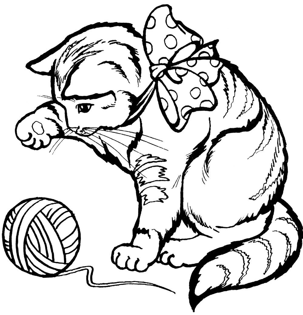 Котята для девочек