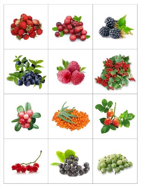 Карточки с фруктами овощами и ягодами для раннего развития