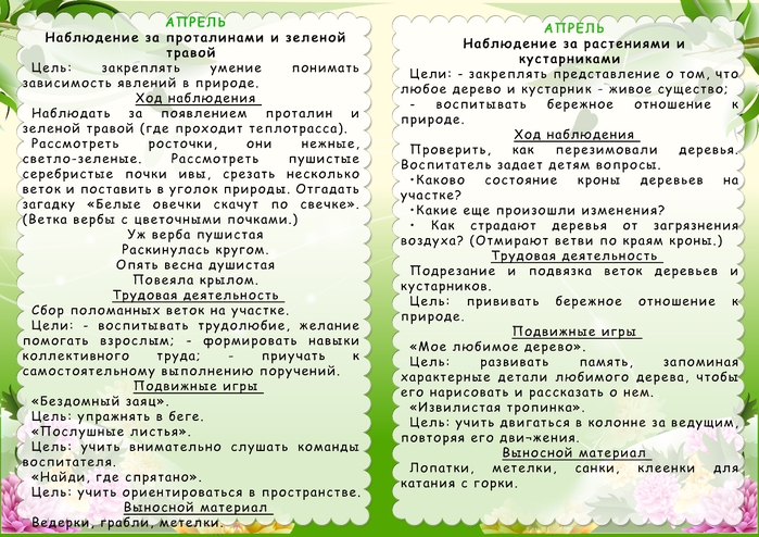 Перспективный план наблюдений с детьми 5 6 лет