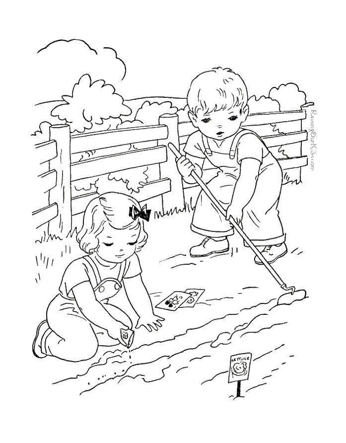 Посадка новых деревьев. Раскраски по окружающему миру