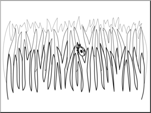 Раскраски травы для изучения природы с детьми