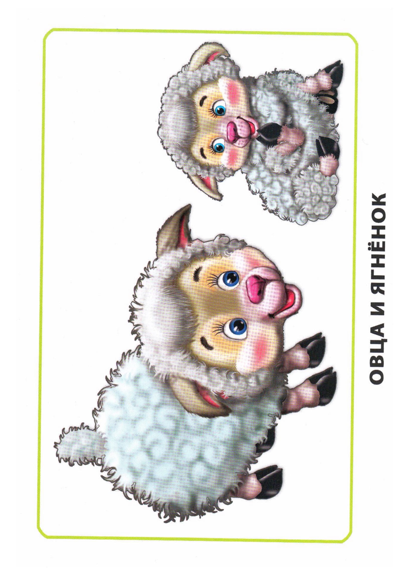 Карточки по окружающему миру. Мамы и дети. Раннее развитие детей.