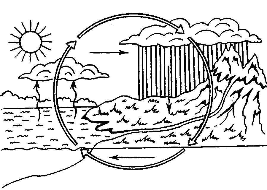 Круговорот воды в природе. Изучаем окружающий мир. Раскраски для раннего разв...